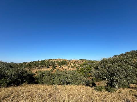 Prédio Misto em Almodôvar - 27 Hectares com Potencial Agrícola e Vista Deslumbrante