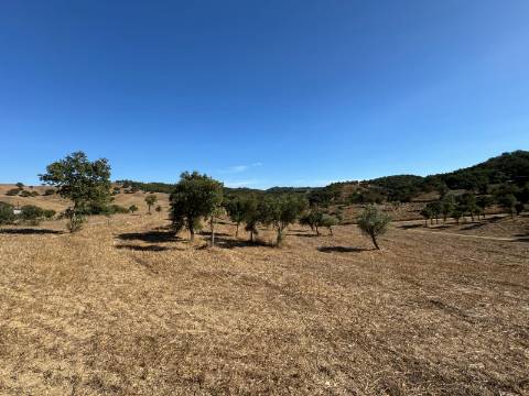 Herdade com dois Montes Alentejanos para Recuperar