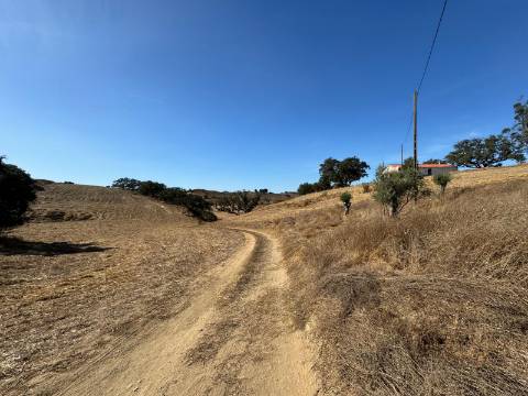 Herdade com dois Montes Alentejanos para Recuperar