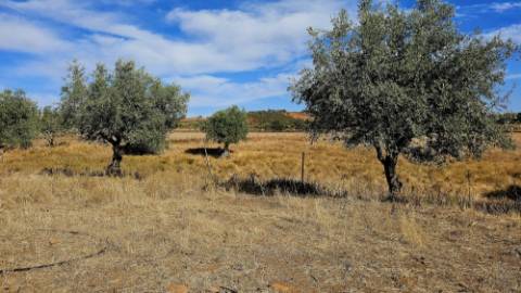 Terreno inserido malha urbana Garvão