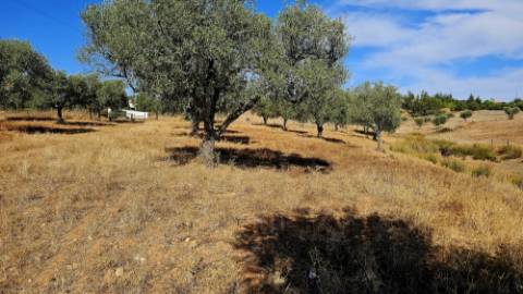 Terreno inserido malha urbana Garvão