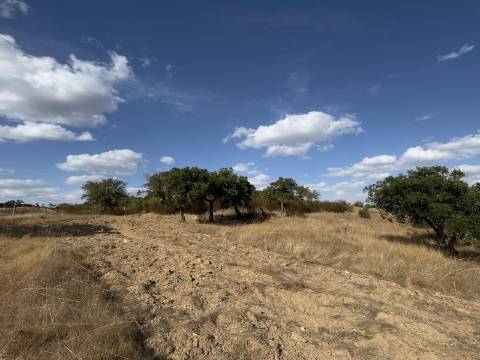 Monte Alentejano com Ruína e Vista Deslumbrante em Ourique