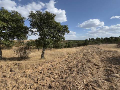 Monte Alentejano com Ruína e Vista Deslumbrante em Ourique