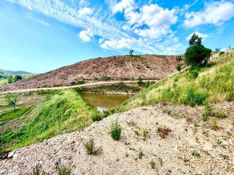 MONTE ALENTEJANO | 4,78 HECTARES | PERTO DO ALGARVE