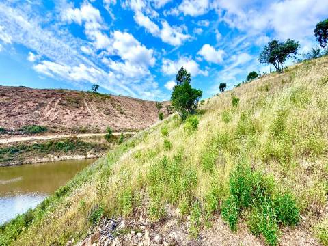 MONTE ALENTEJANO | 4,78 HECTARES | PERTO DO ALGARVE