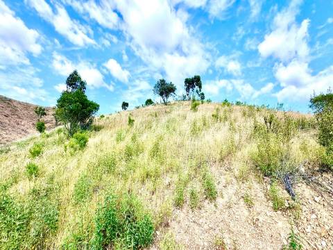 MONTE ALENTEJANO | 4,78 HECTARES | PERTO DO ALGARVE