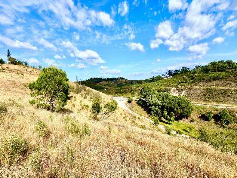 MONTE ALENTEJANO | 4,78 HECTARES | PERTO DO ALGARVE