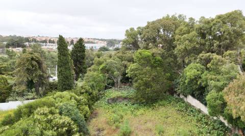 Terreno com 4890m2 no Estoril