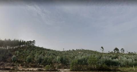 Terreno rústico com 62.440m2 no Pisão, Ramalhal