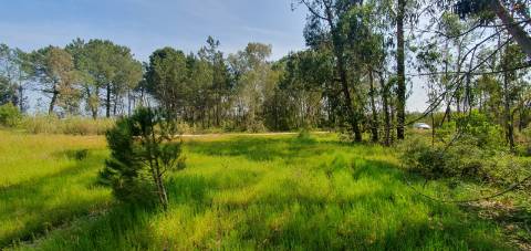 Terreno Gaveto com Estrada Nacional