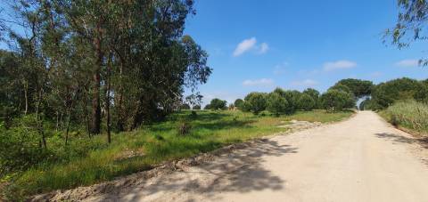 Terreno Gaveto com Estrada Nacional