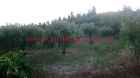 Terreno com represa