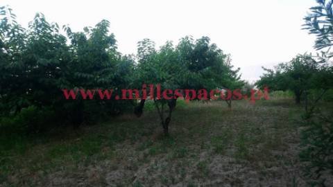 Terreno com represa