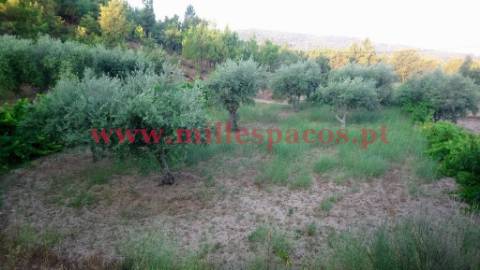 Terreno com represa