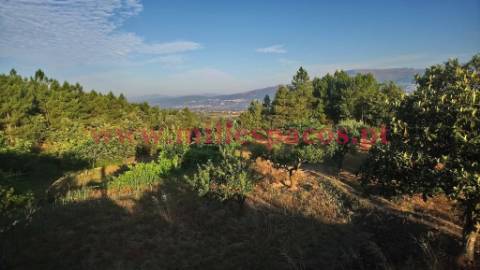 Terreno com represa