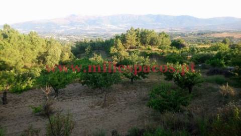 Terreno com represa