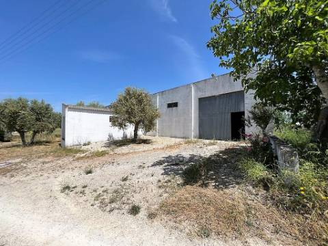 Armazém com terreno 4.100m² - S. Vicente do Paúl, Santarém
