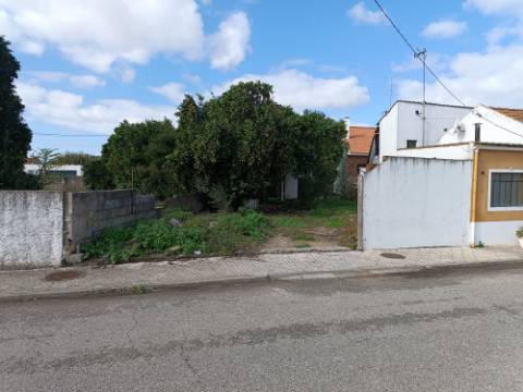 Terreno com 350m² - Tapada