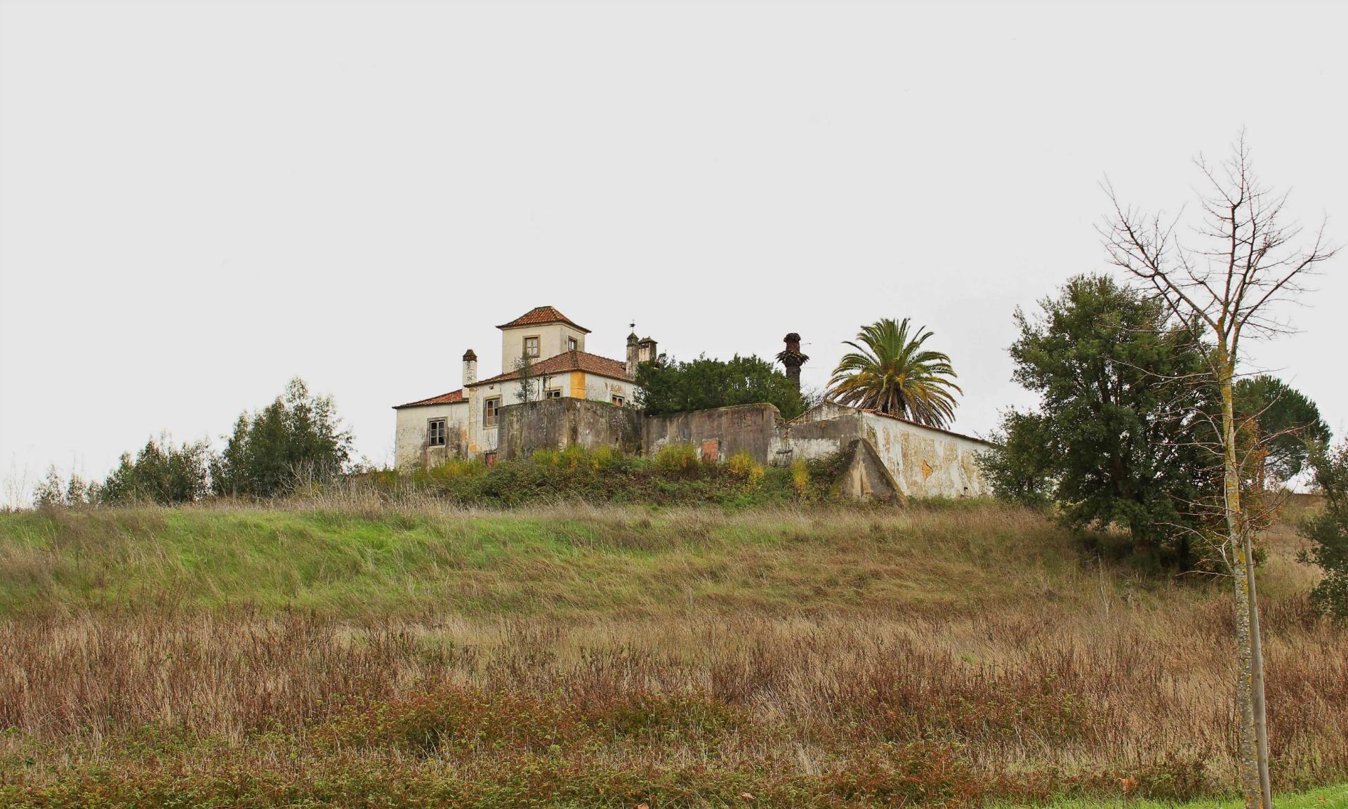 Quinta, terreno com área de 29.300m² - Santarém