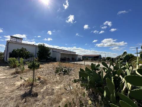Armazém - Alpiarça