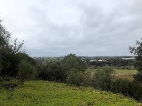 Moradia T2, 10.000m² - S. Vicente Paúl