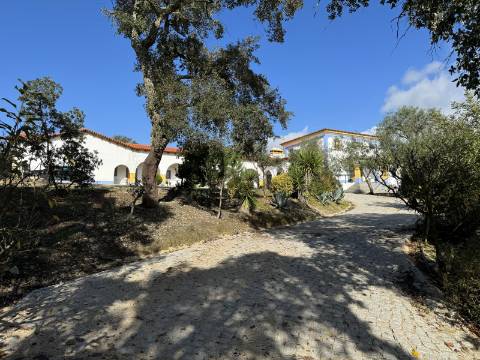Quinta de Agro-turismo, Almeirim
