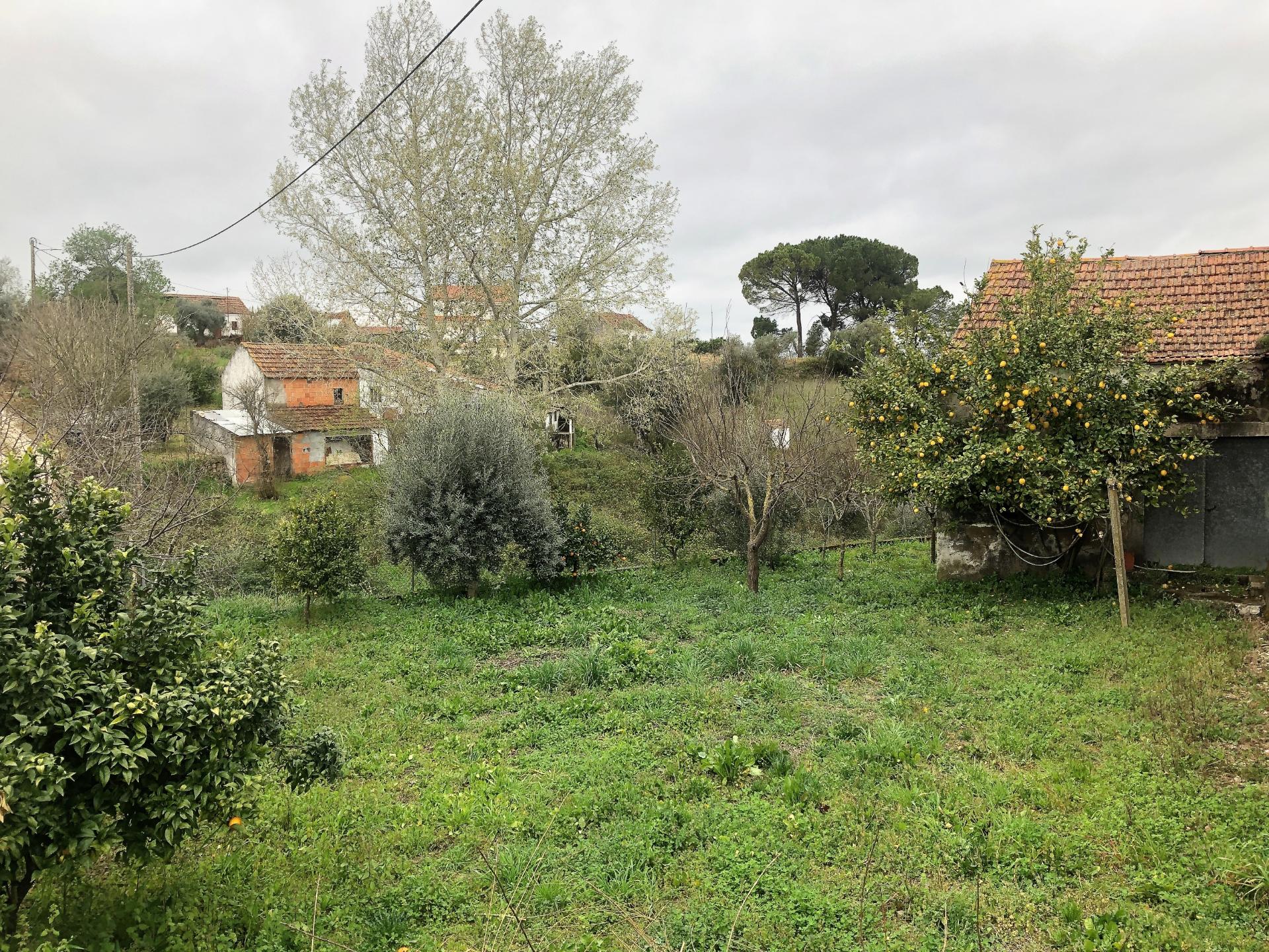 Moradia em ruína - S. Vicente do Paúl