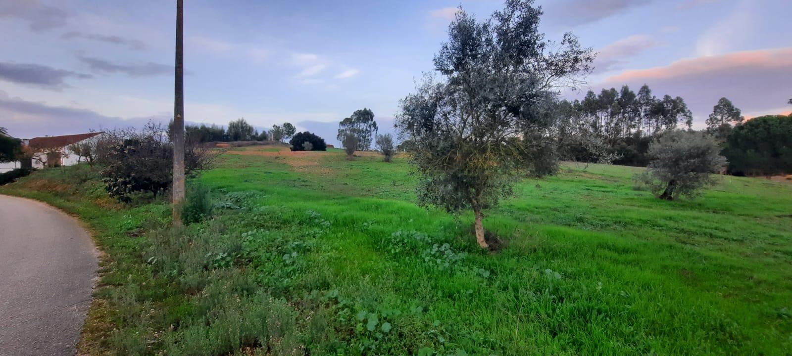 Terreno rústico 8.890m² - Outeiro da Cortiça