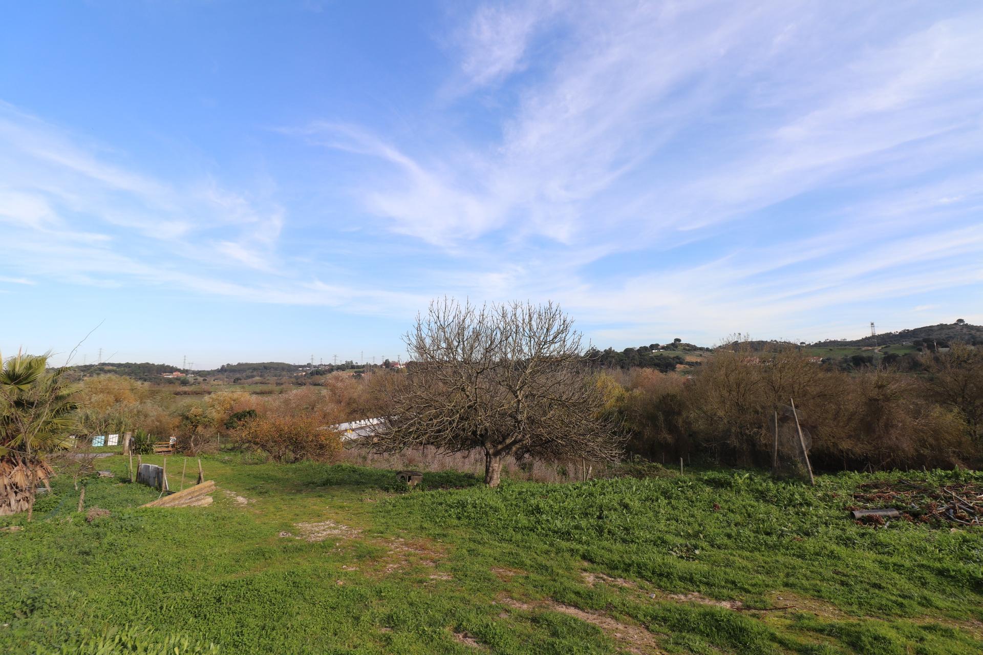 Moradia com 44.020m² - Santarém