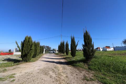 Moradia T2 com terreno 4.500m² - Fazendas de Almeirim