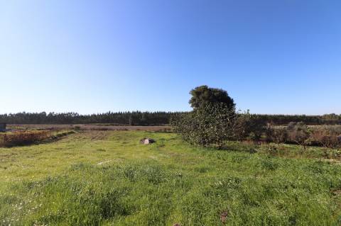 Moradia T2 com terreno 4.500m² - Fazendas de Almeirim