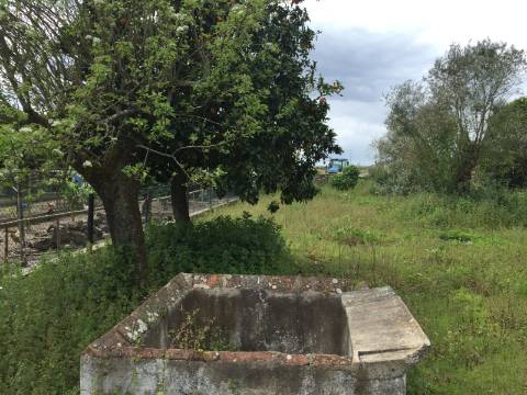 Moradia T2 - Pombalinho/ Santarém