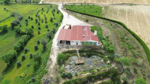 Armazém com área de 369m² - Santarém