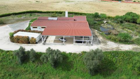 Armazém com área de 369m² - Santarém