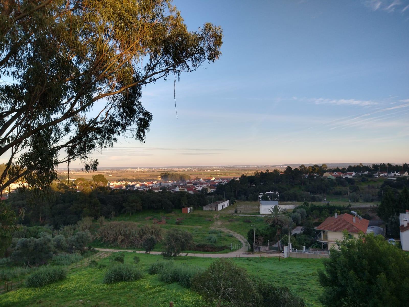 Lote Terreno - Santarém
