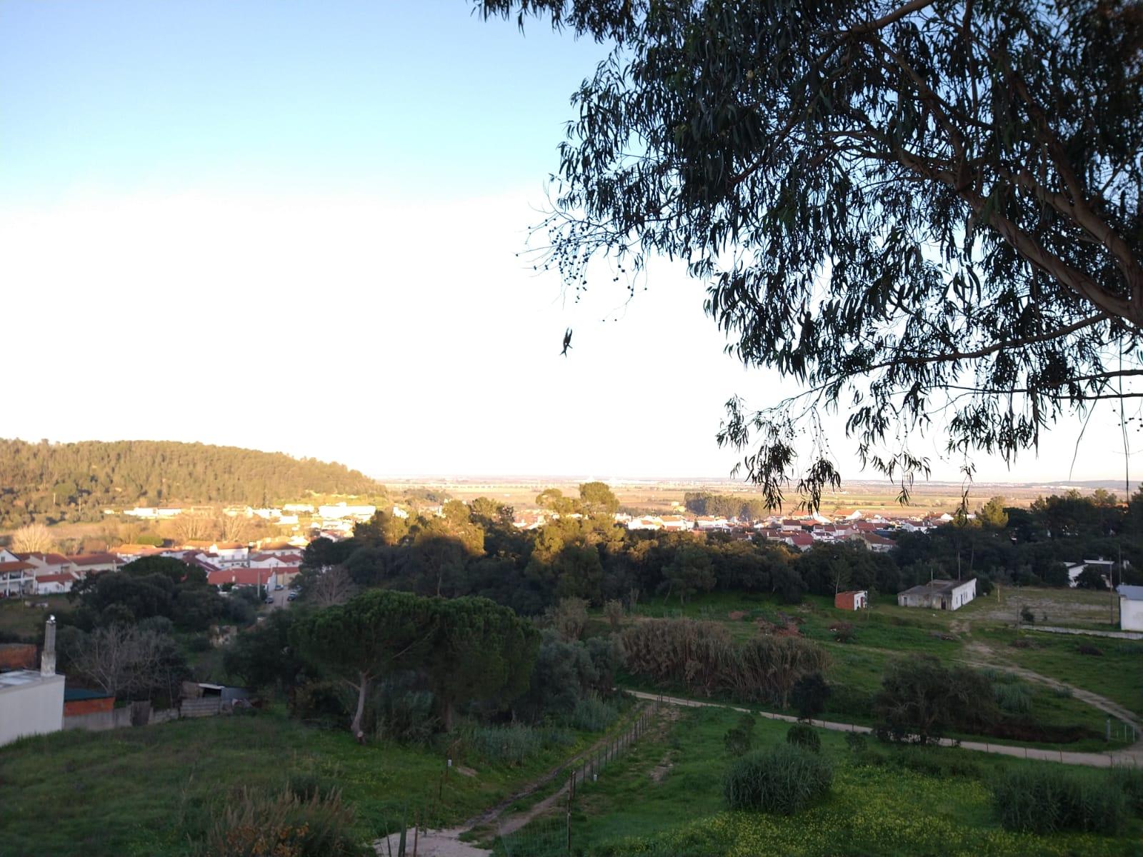 Lote Terreno - Santarém