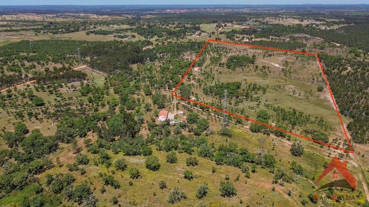 HERDADE COM 18,7 HA | TURISMO AGRICULTURA ENERGIA SOLAR