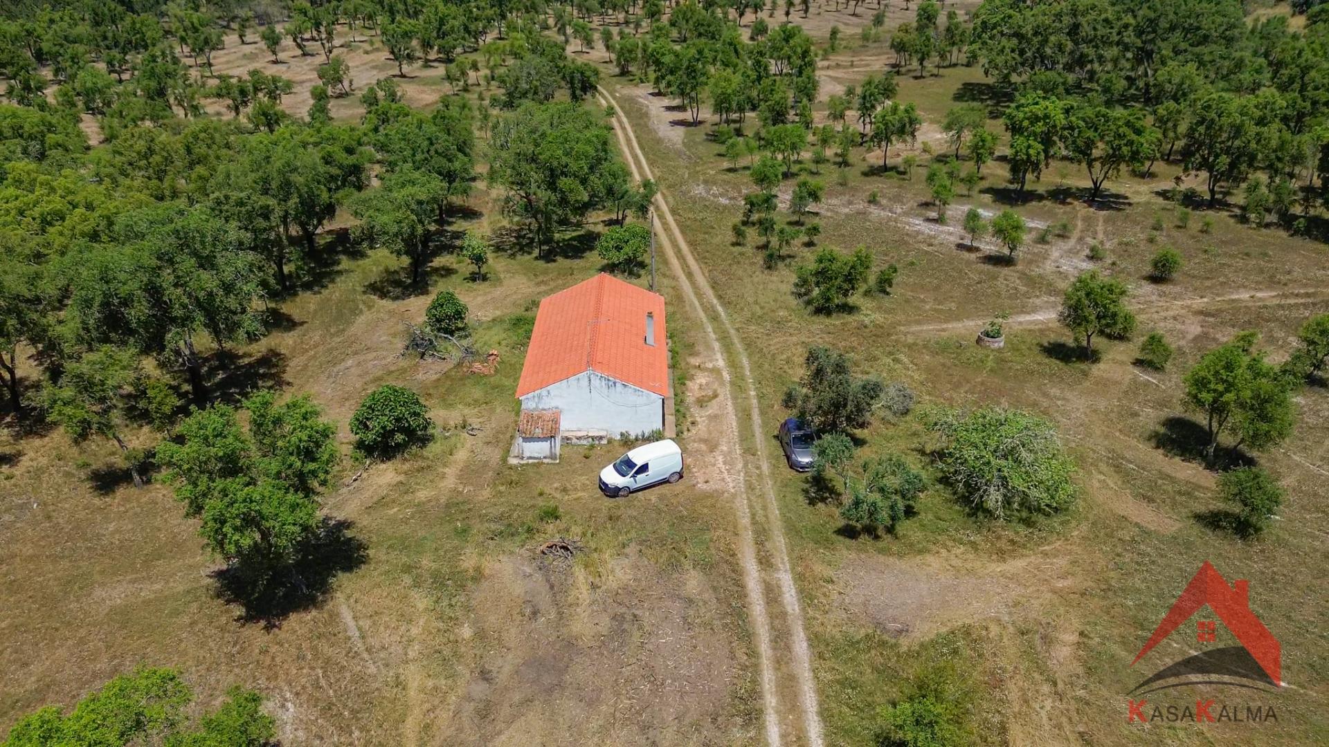 HERDADE COM 18,7 HA | TURISMO AGRICULTURA ENERGIA SOLAR
