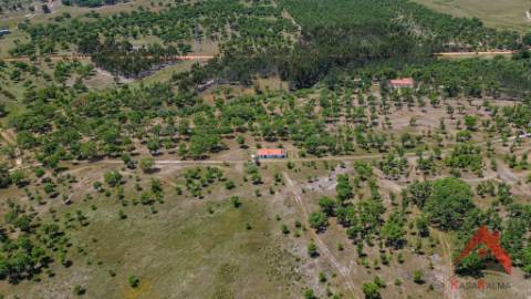 HERDADE COM 18,7 HA | TURISMO AGRICULTURA ENERGIA SOLAR