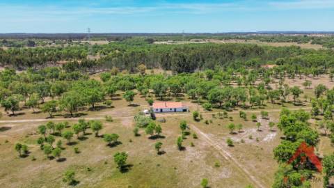 HERDADE COM 18,7 HA | TURISMO AGRICULTURA ENERGIA SOLAR