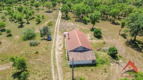 HERDADE COM 18,7 HA | TURISMO AGRICULTURA ENERGIA SOLAR