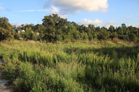 Terreno para construção de moradias próximo da faculdade de Gandra.