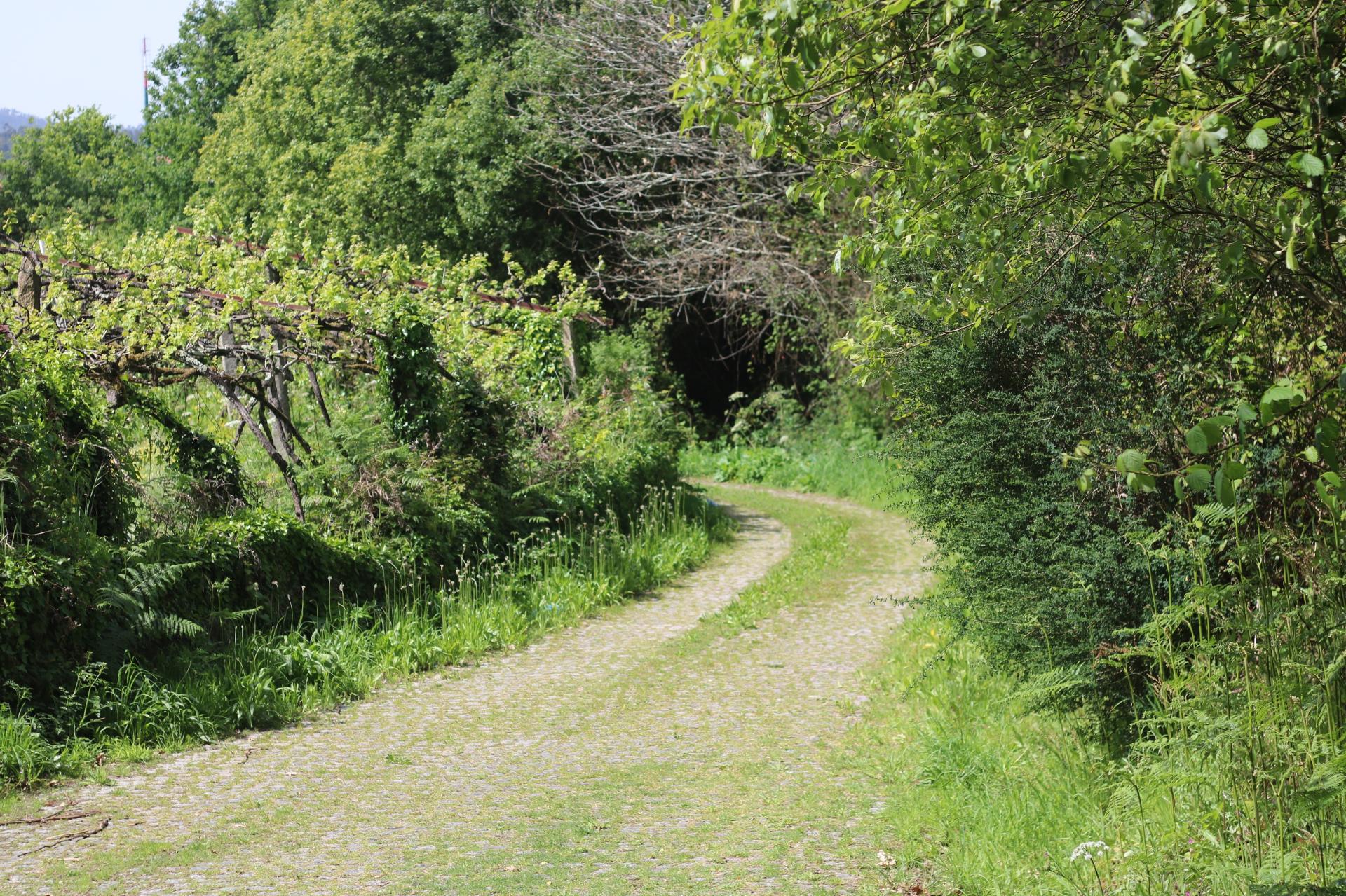 Quinta com 4 hectares