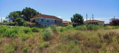 Terreno para Construção de Prédio