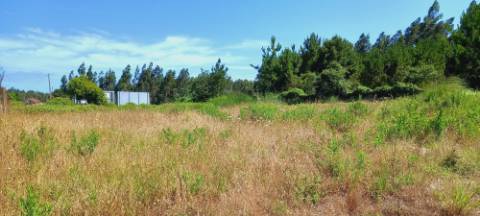 Terreno para Construção de Prédio