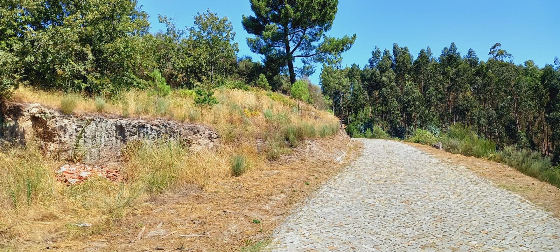 Terreno Urbano em Baião