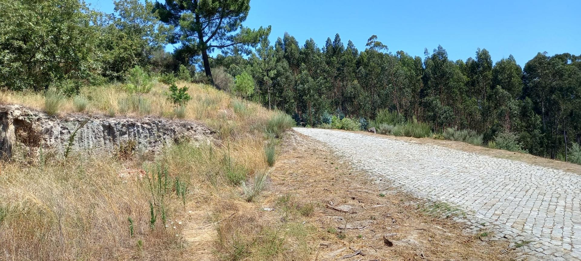 Terreno Urbano em Baião