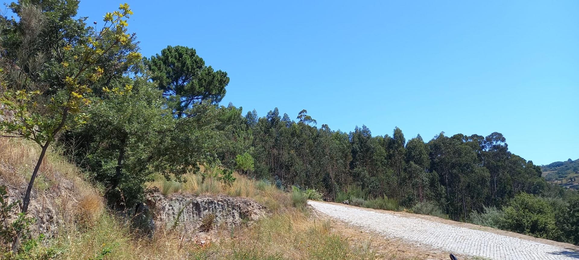 Terreno Urbano em Baião