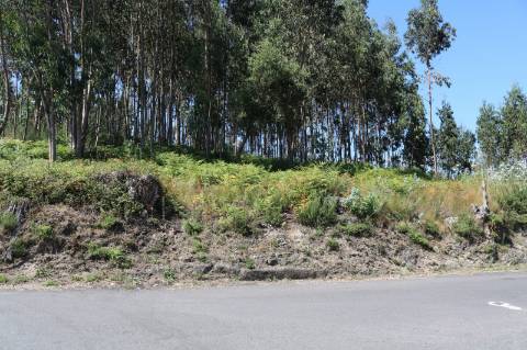 Terreno Industrial em Rebordosa