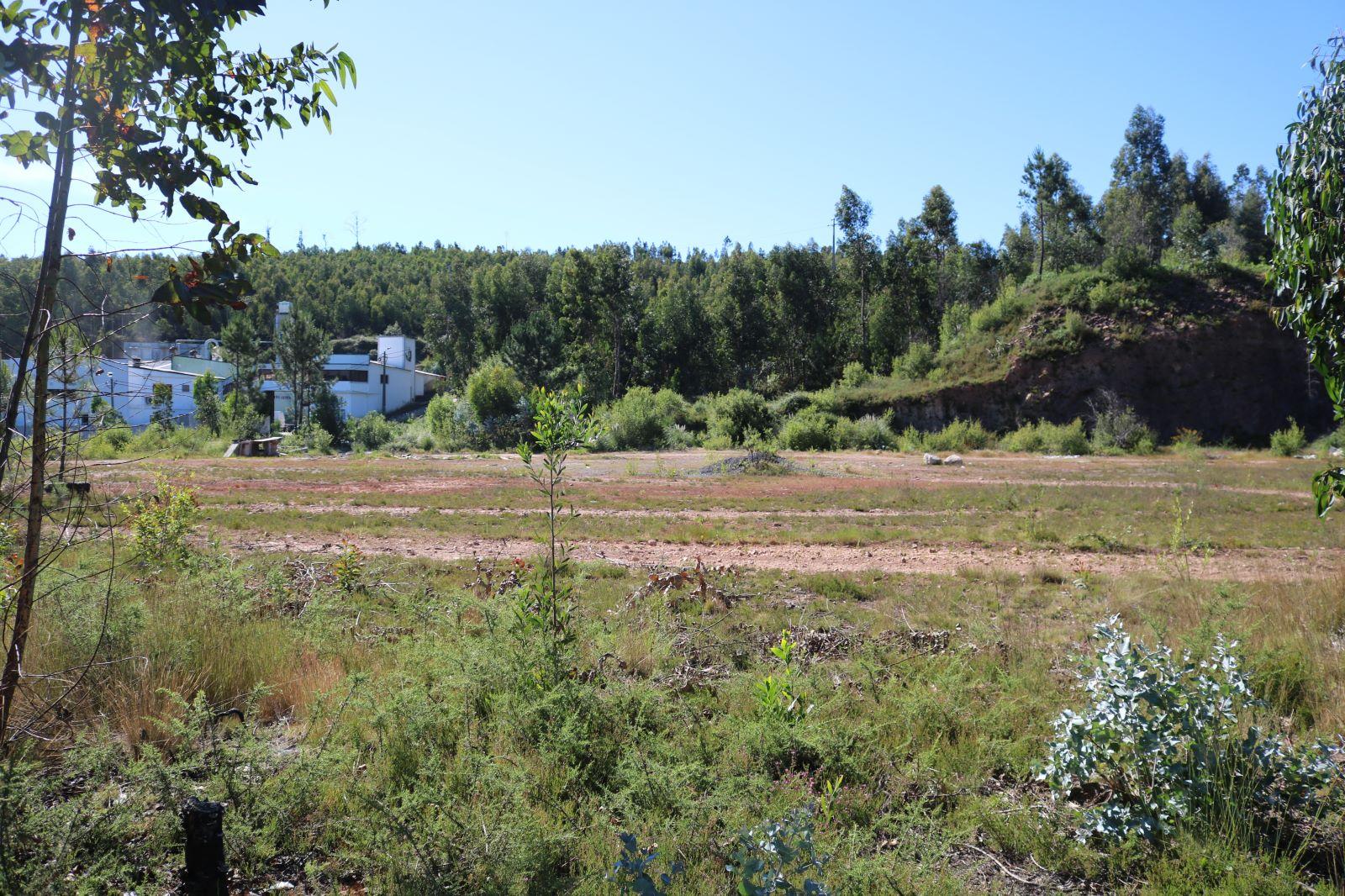 Terreno Industrial